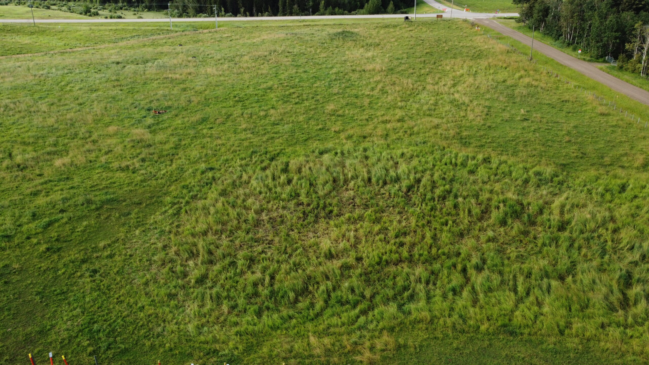 128 Acres on Hwy 54 - Image 9