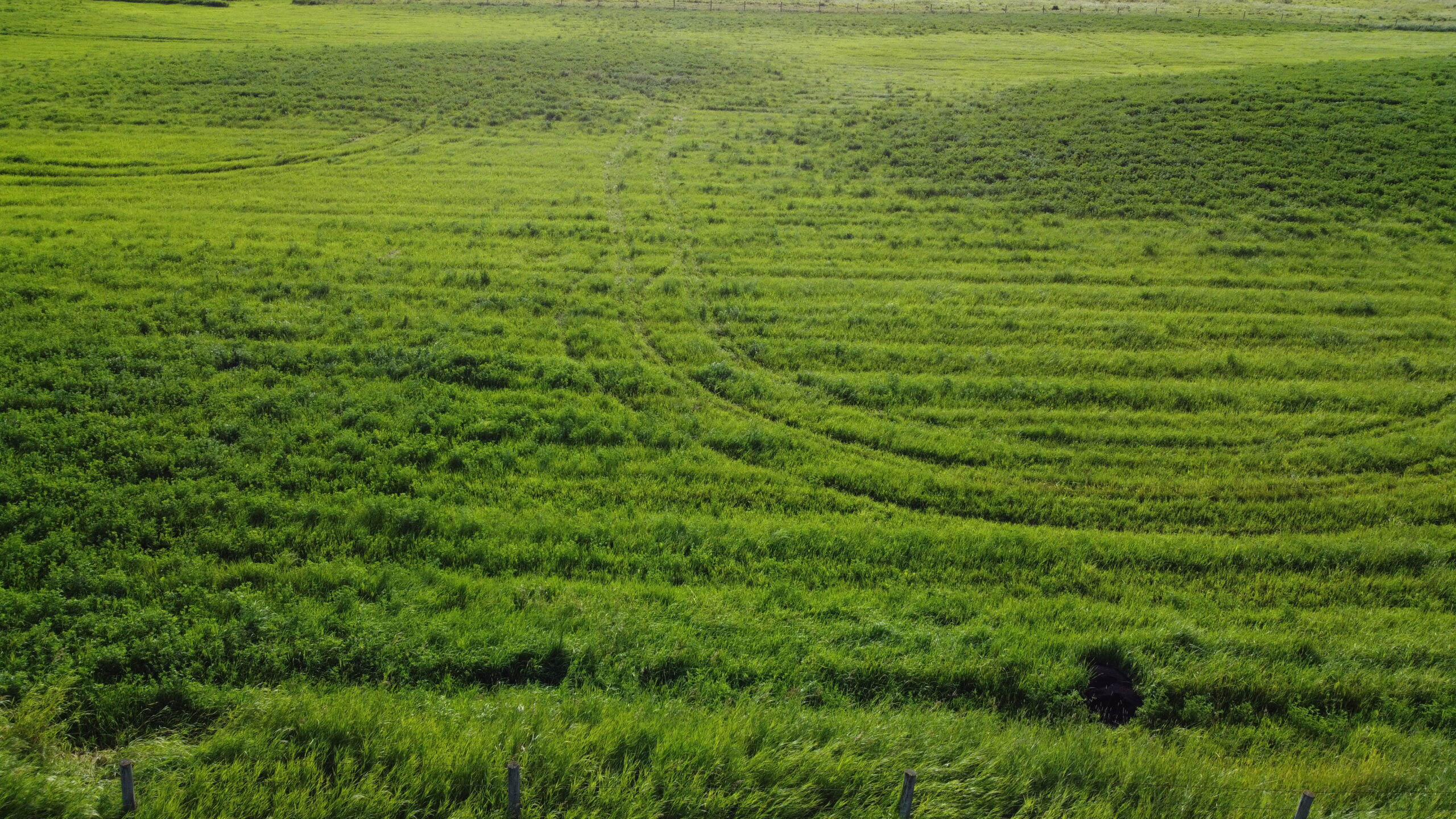 128 Acres on Hwy 54 - Image 8
