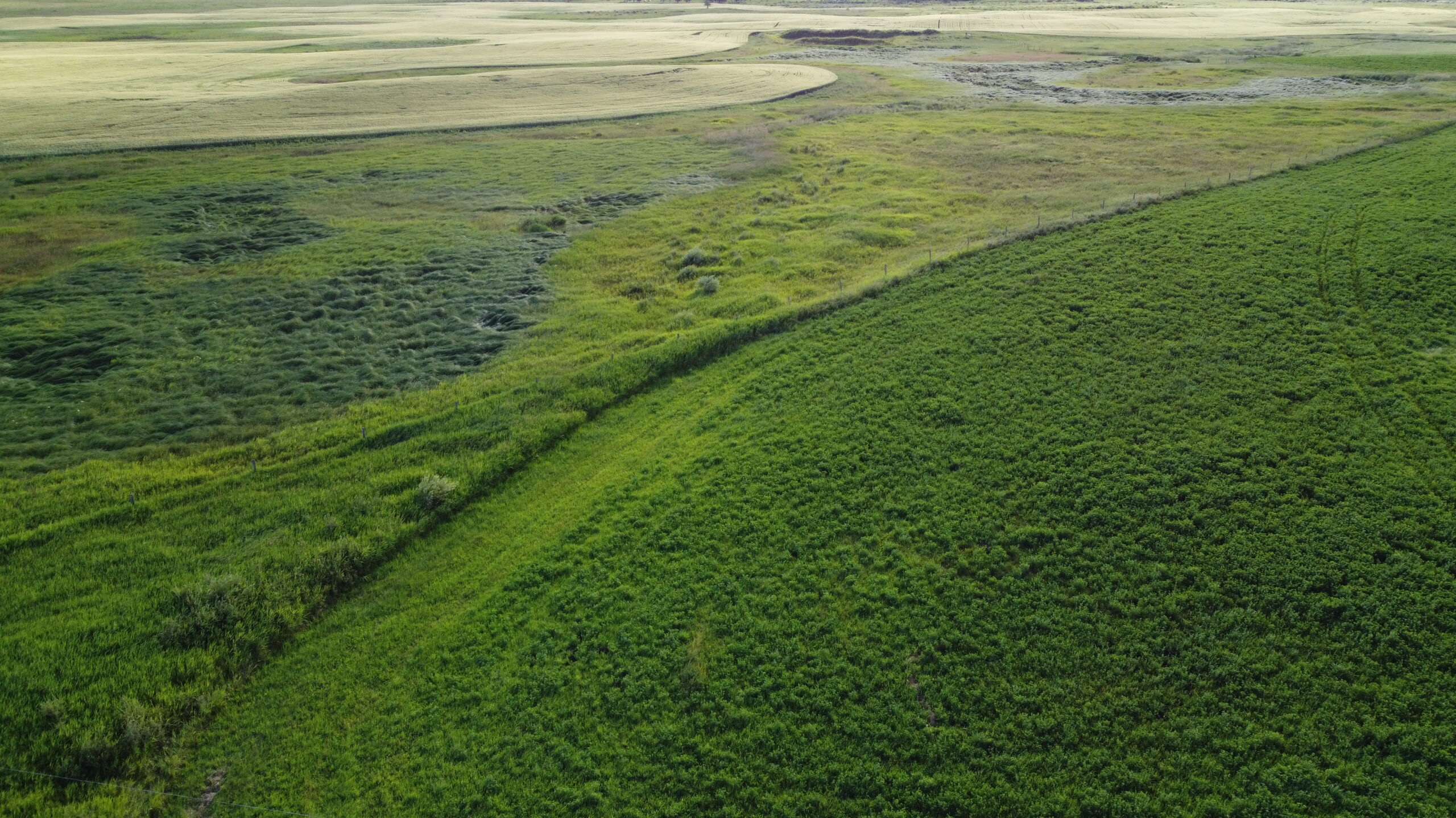 128 Acres on Hwy 54 - Image 7