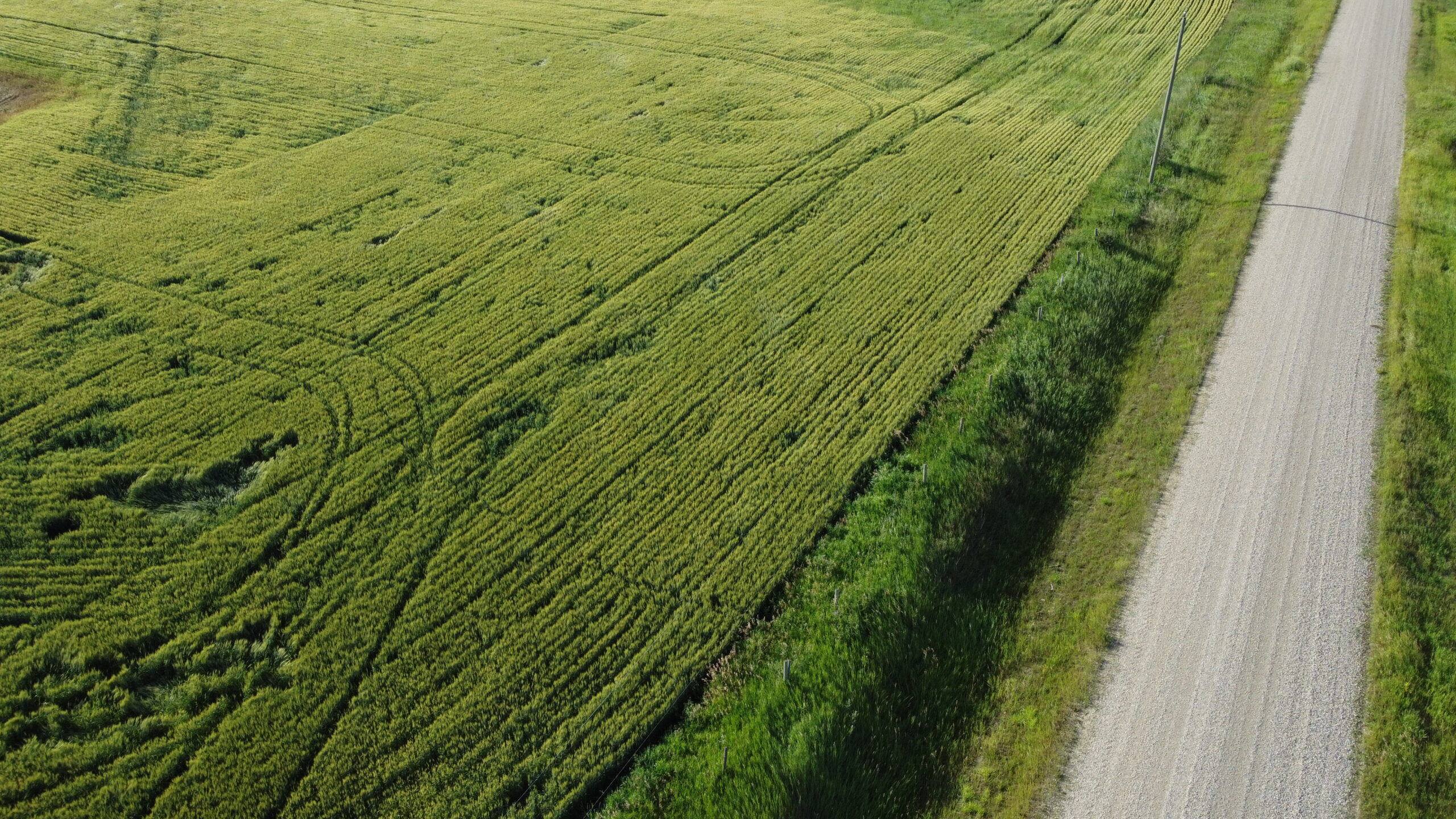 160 Acres Full Quarter on Hwy 54 - Image 6
