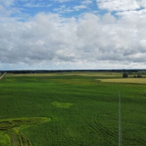 128 Acres on Hwy 54