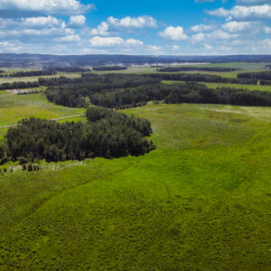 40022 B Rng Rd 5-0    SE 1-42-5-W5  152 ACRES