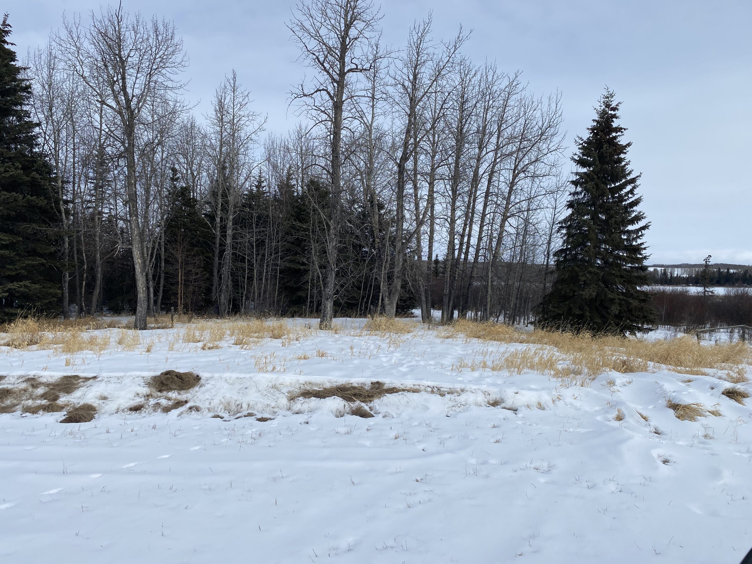 160 Acres Recreational Quarter County of Ponoka - Image 7