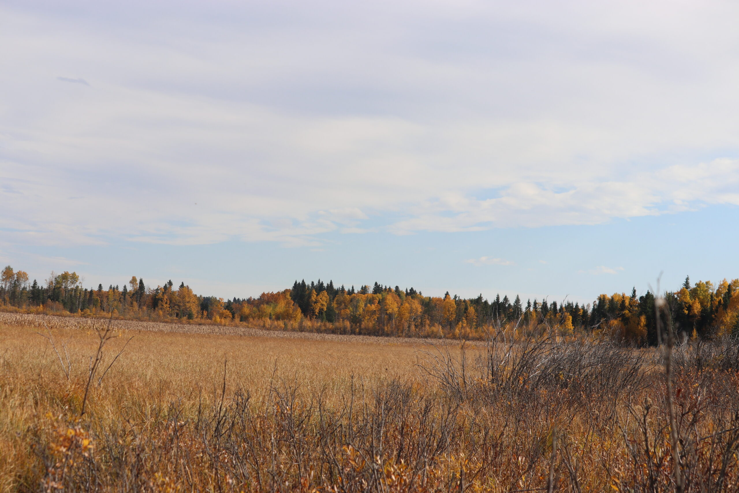 160 Acres Recreational Quarter County of Ponoka - Image 3