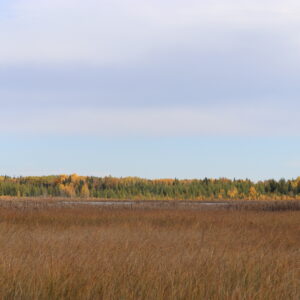 160 Acres Recreational Quarter County of Ponoka