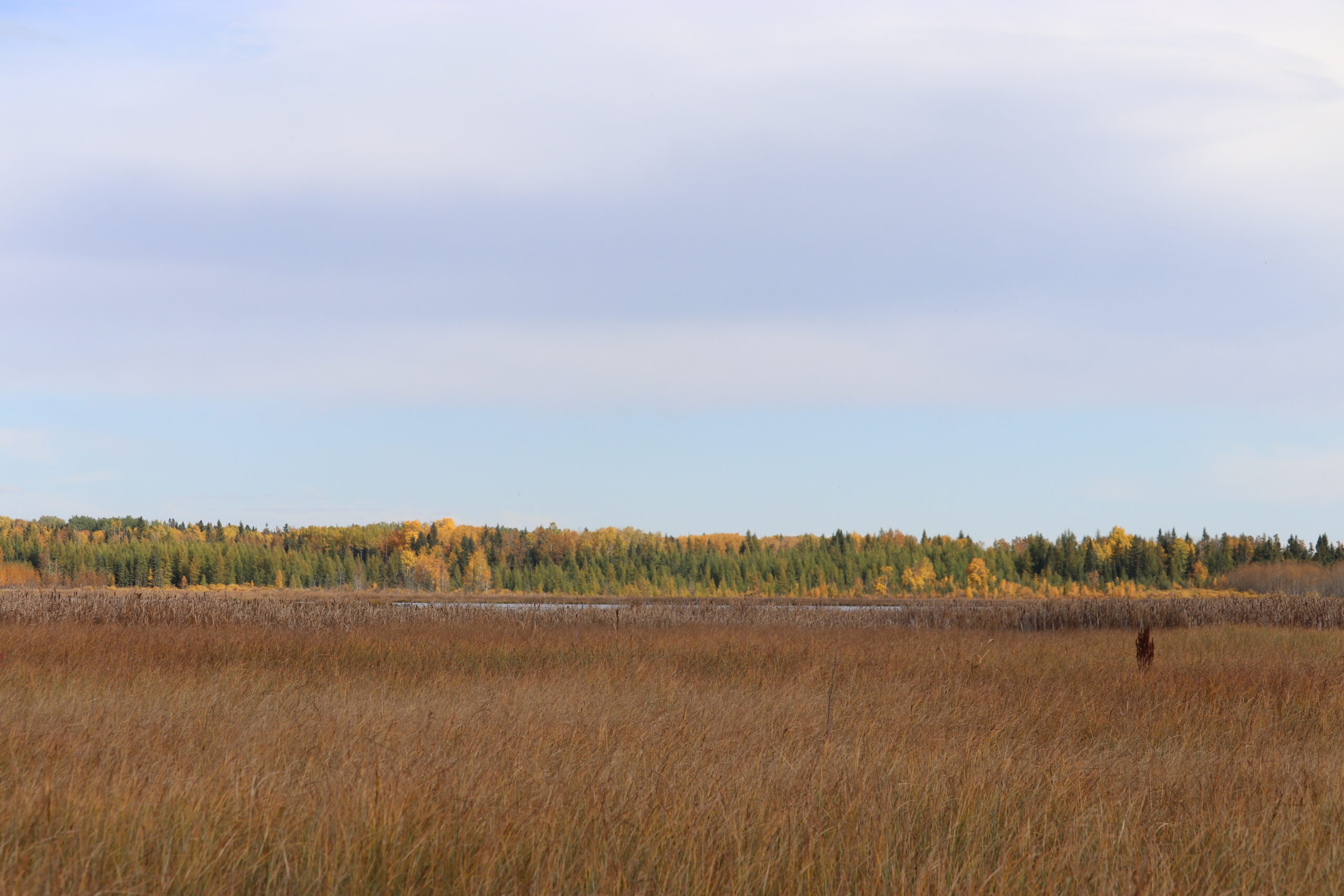 160 Acres Recreational Quarter County of Ponoka